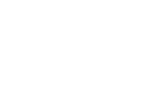 new vista logo