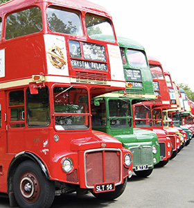 bus
